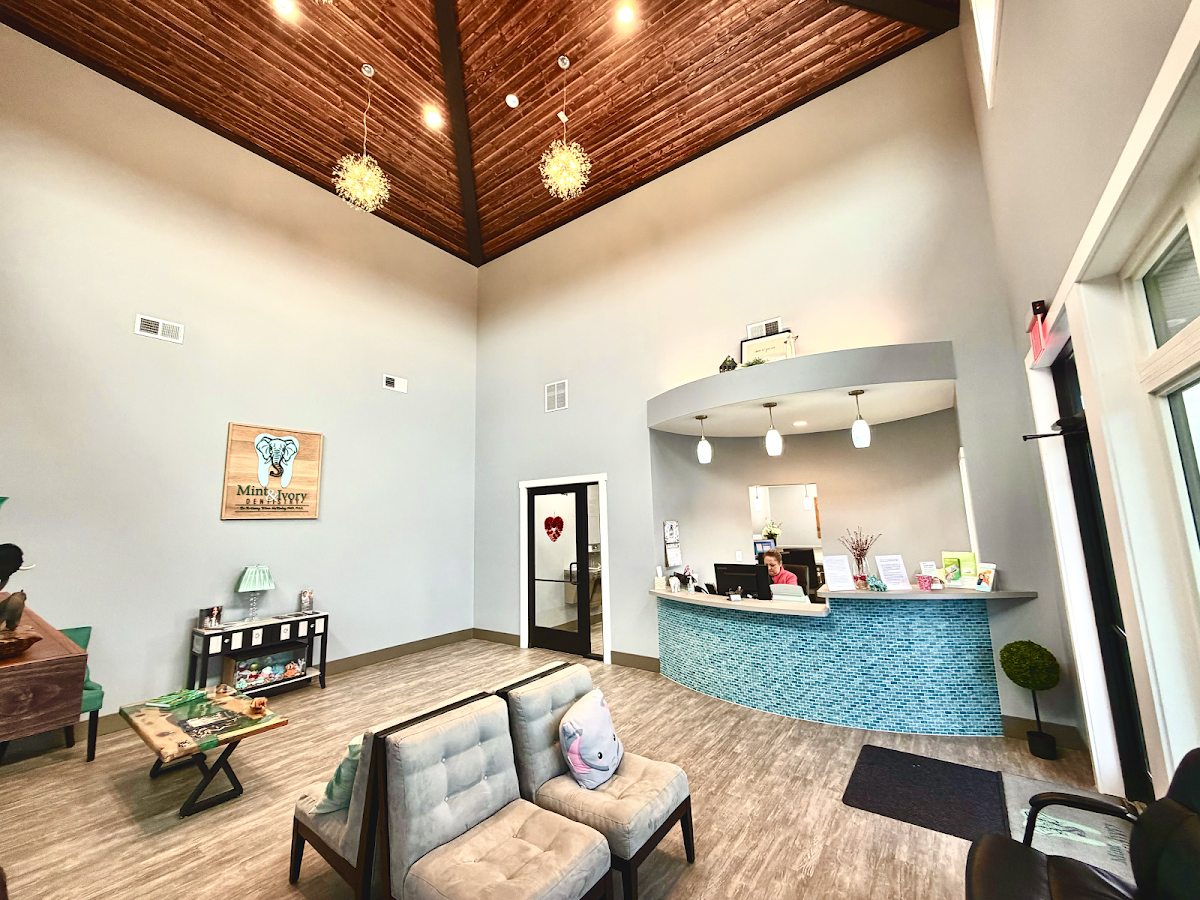 Mint & Ivory Dentistry - Dr Brittany Winn Mckinley, DMD, PLLC photo 2