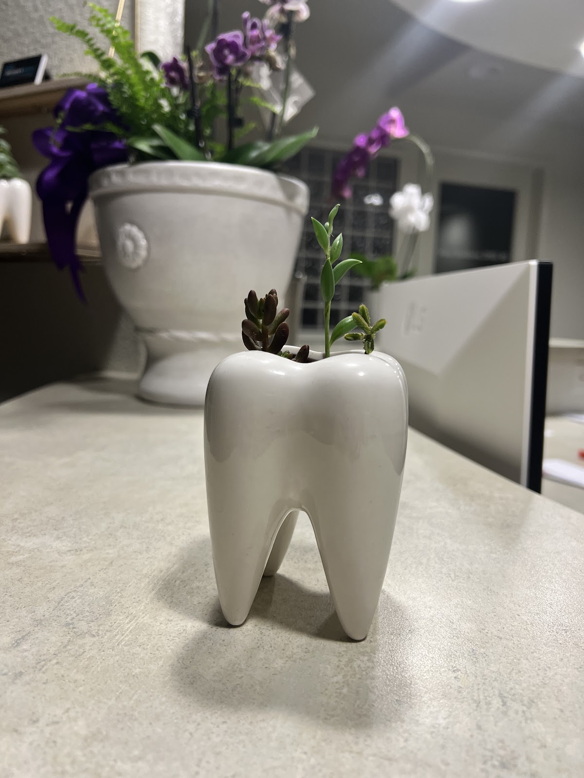 Modern Smile Dentistry photo 2