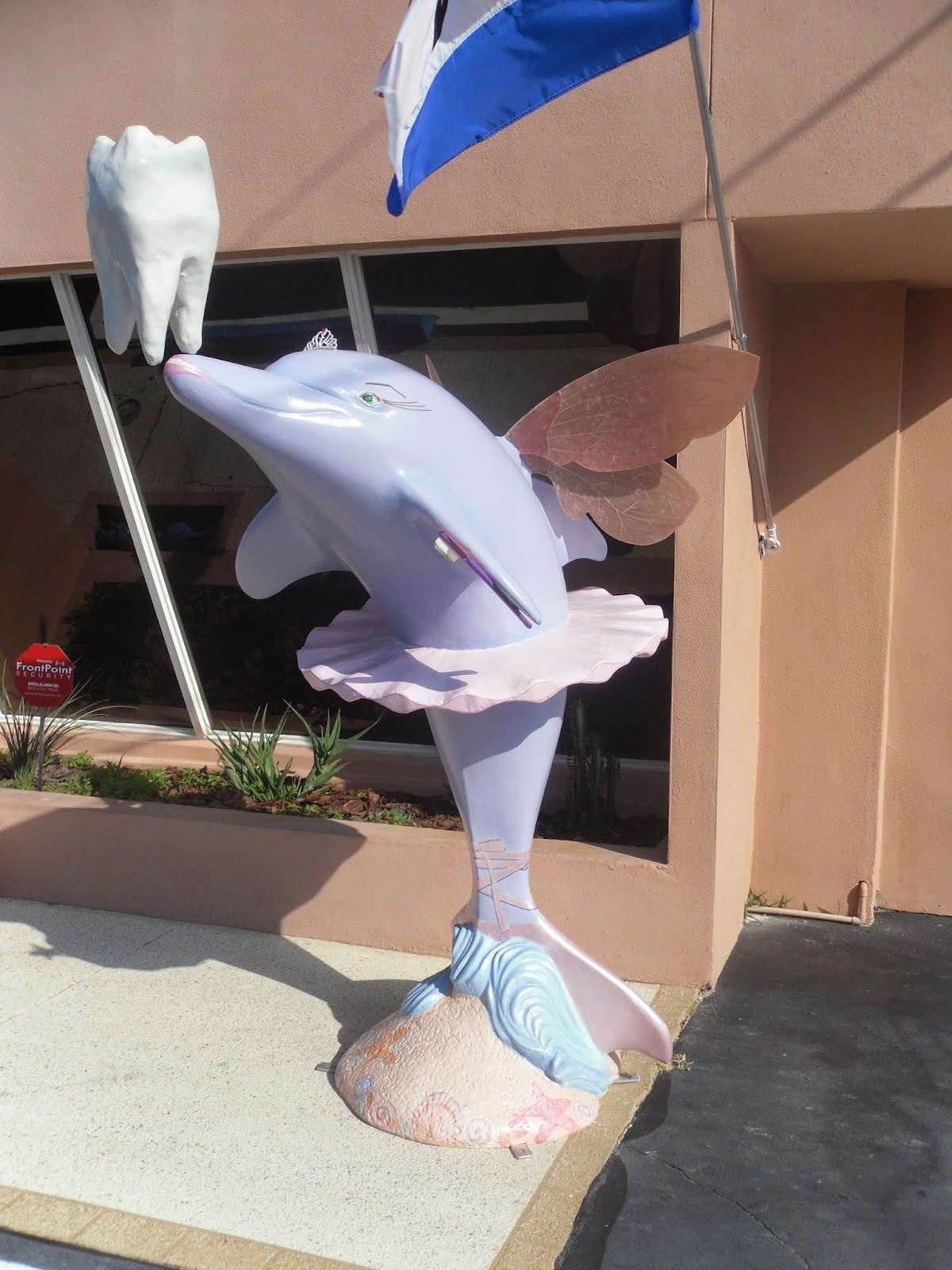 Clearwater Family Dental photo 2