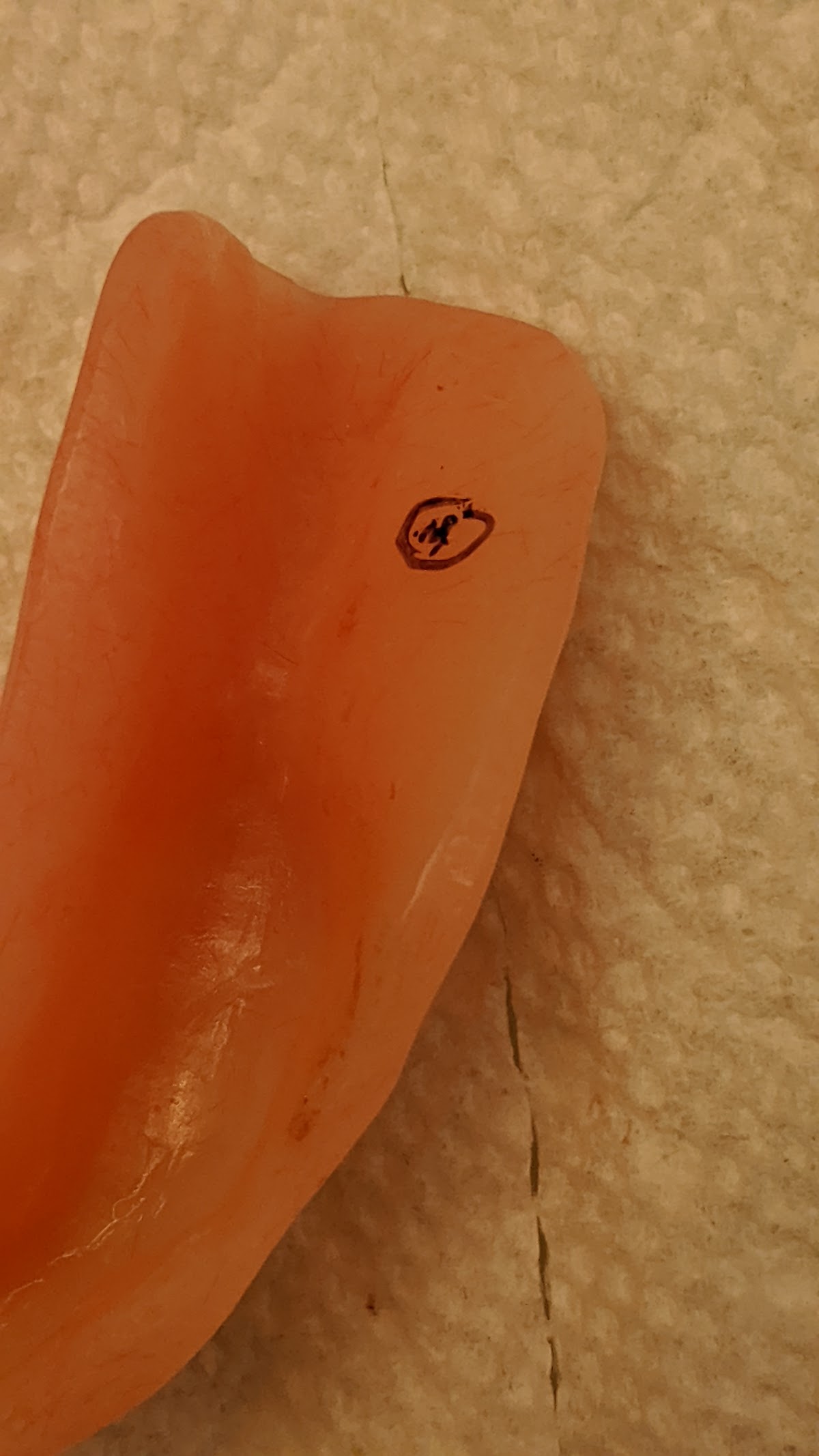 Williamsport Dental & Dentures photo 3