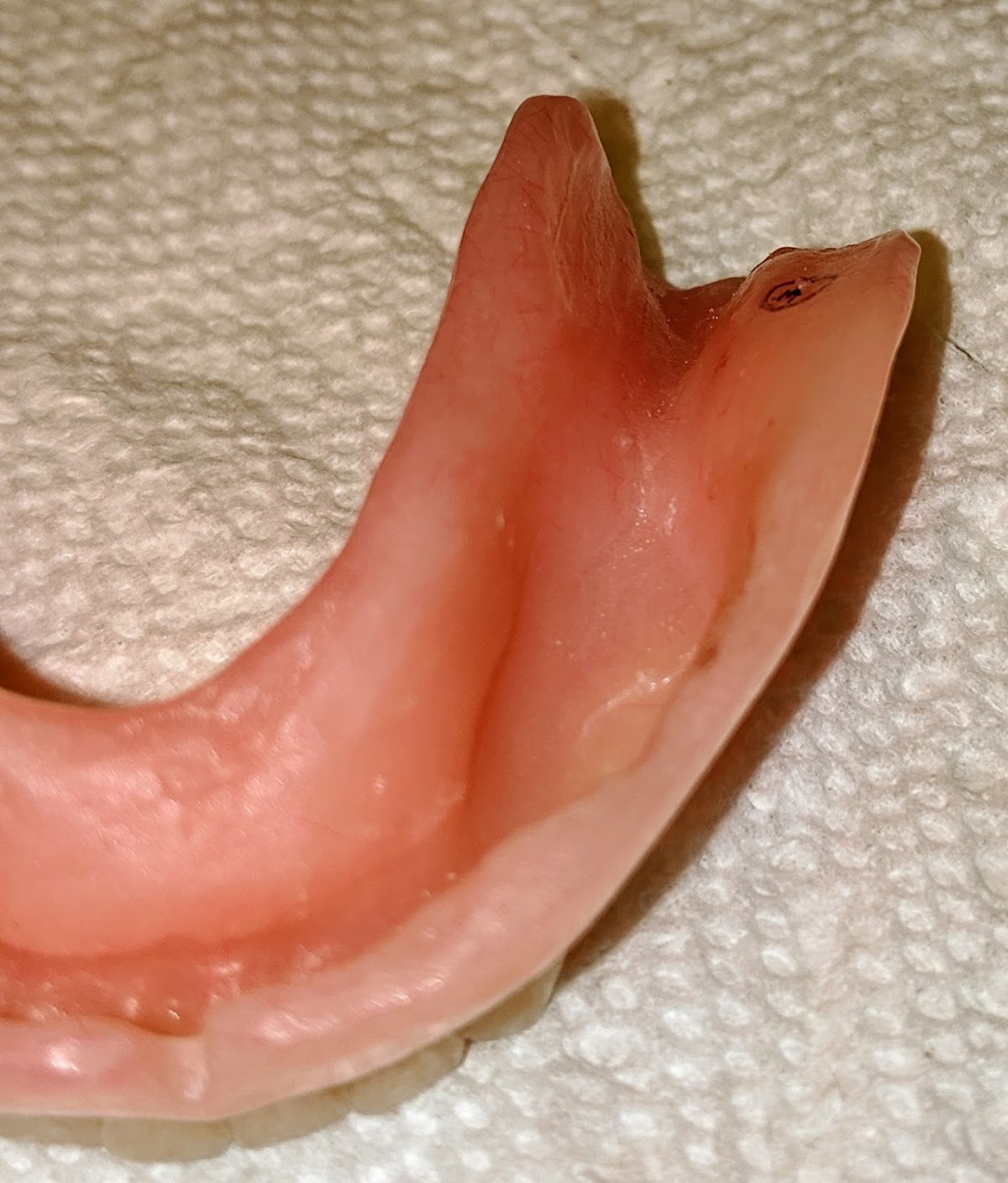 Williamsport Dental & Dentures photo 6