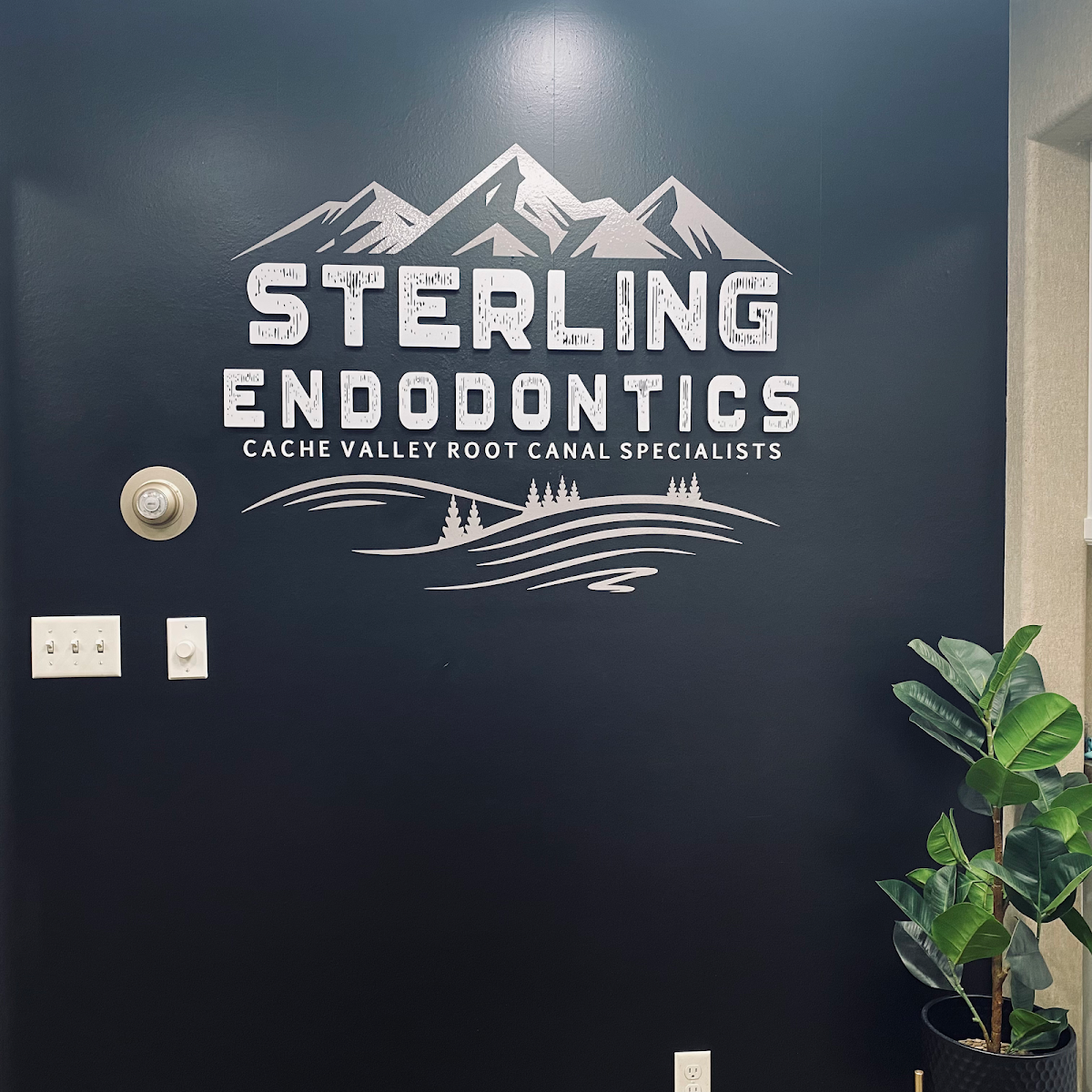 Sterling Endodontics photo 3