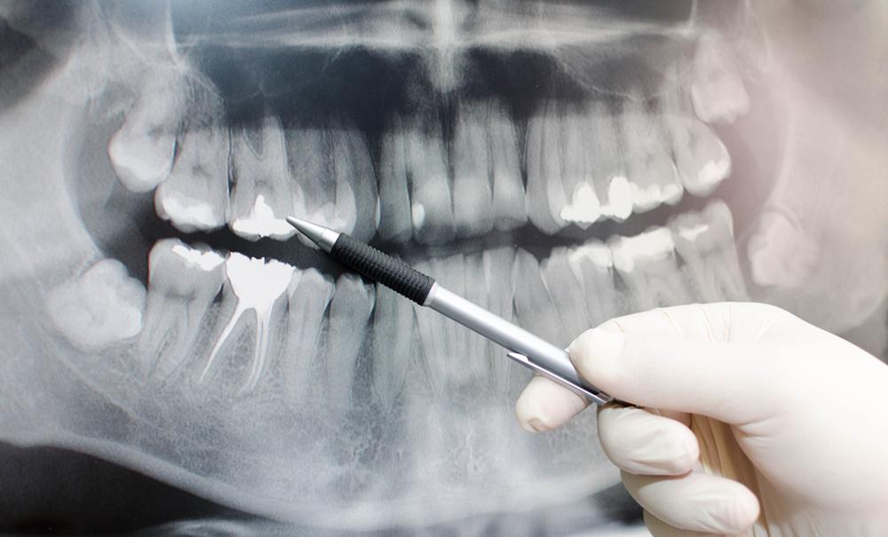 Wellness Biodentistry photo 3