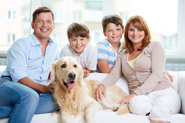 Healthy Smiles Dentistry photo 6