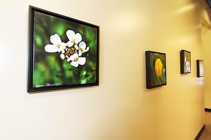 Diamond Dental photo 5