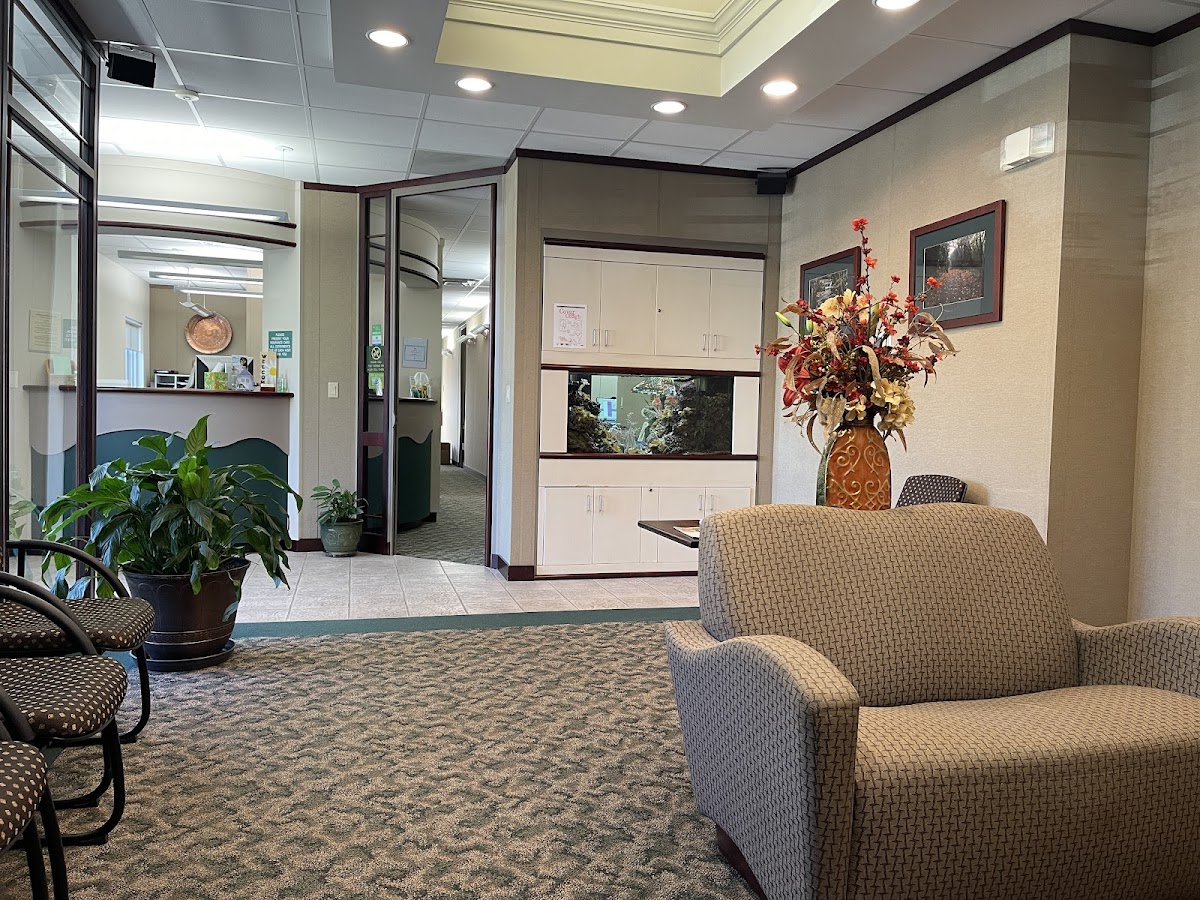 Asheville Aesthetic Dental Partners photo 1