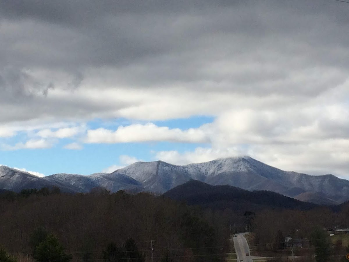 Asheville Aesthetic Dental Partners photo 6
