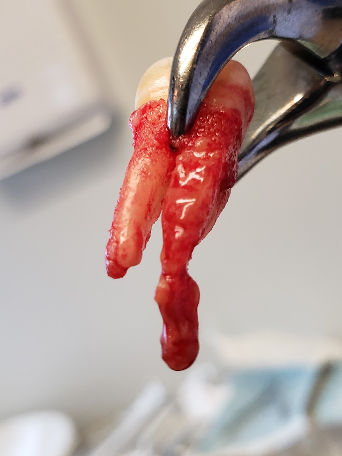 508 Dentist photo 6