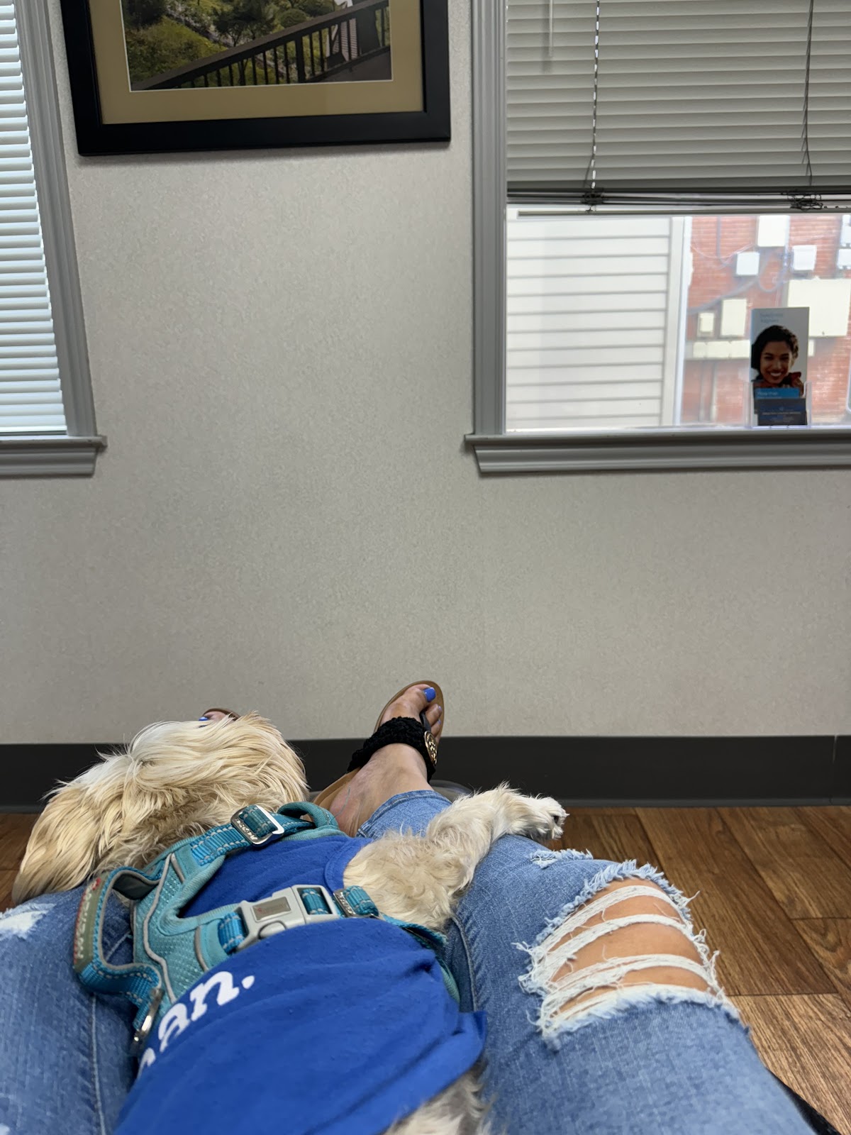 Olmos Park Family Dentistry photo 3