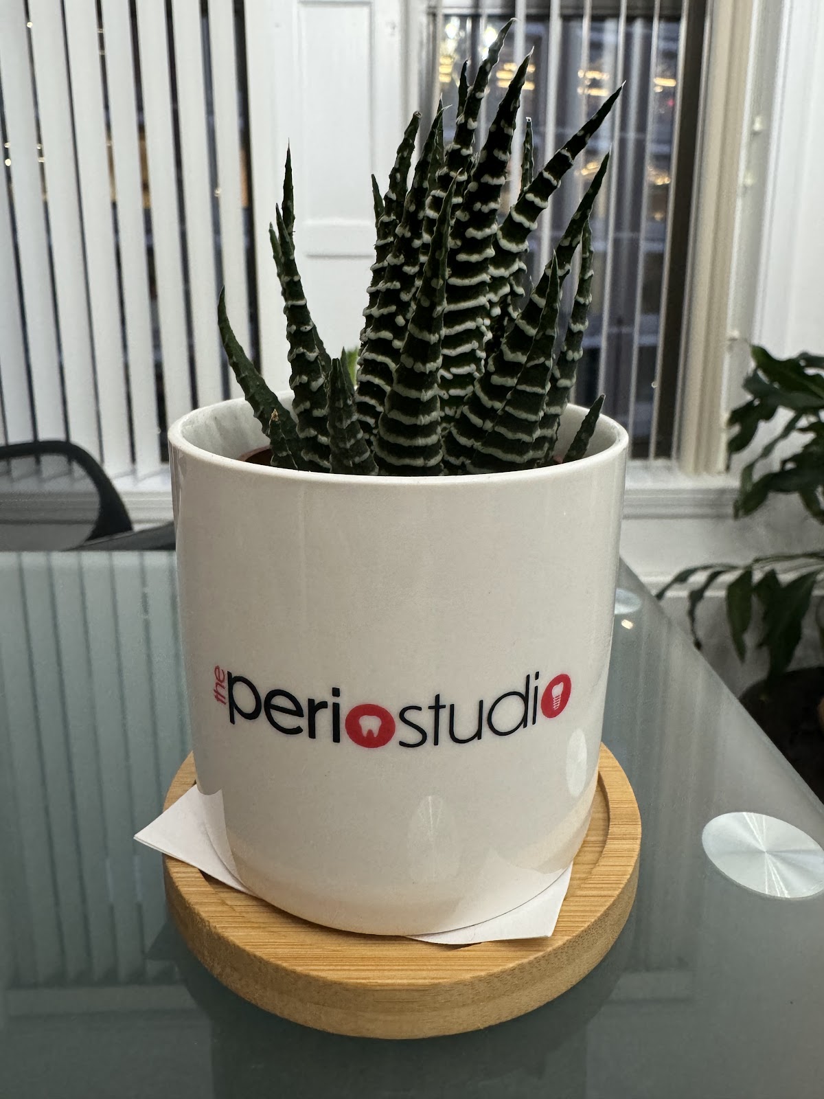 The Perio Studio photo 3