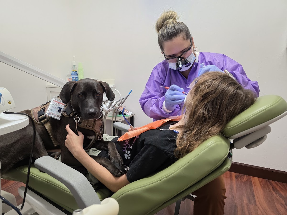 Edgewater Family Dentistry photo 4