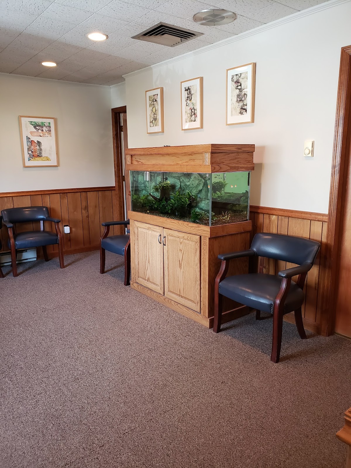 Drs. Viglielmo Biological Dentistry photo 1