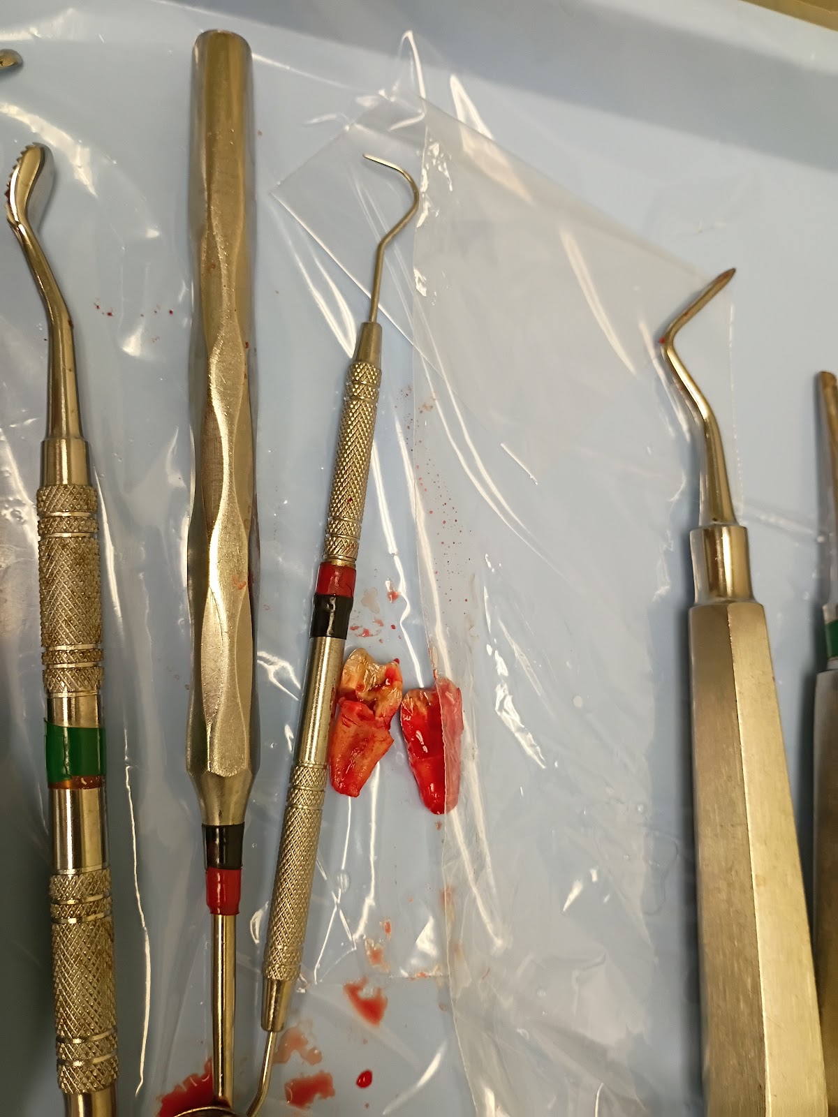 Element Dental & Orthodontics- Huntsville photo 3