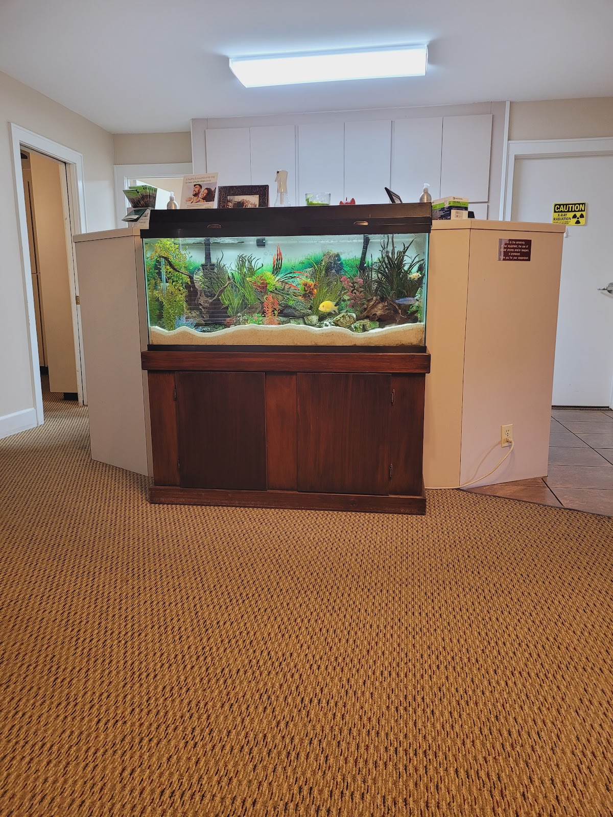 Beller Dental Clinic photo 1