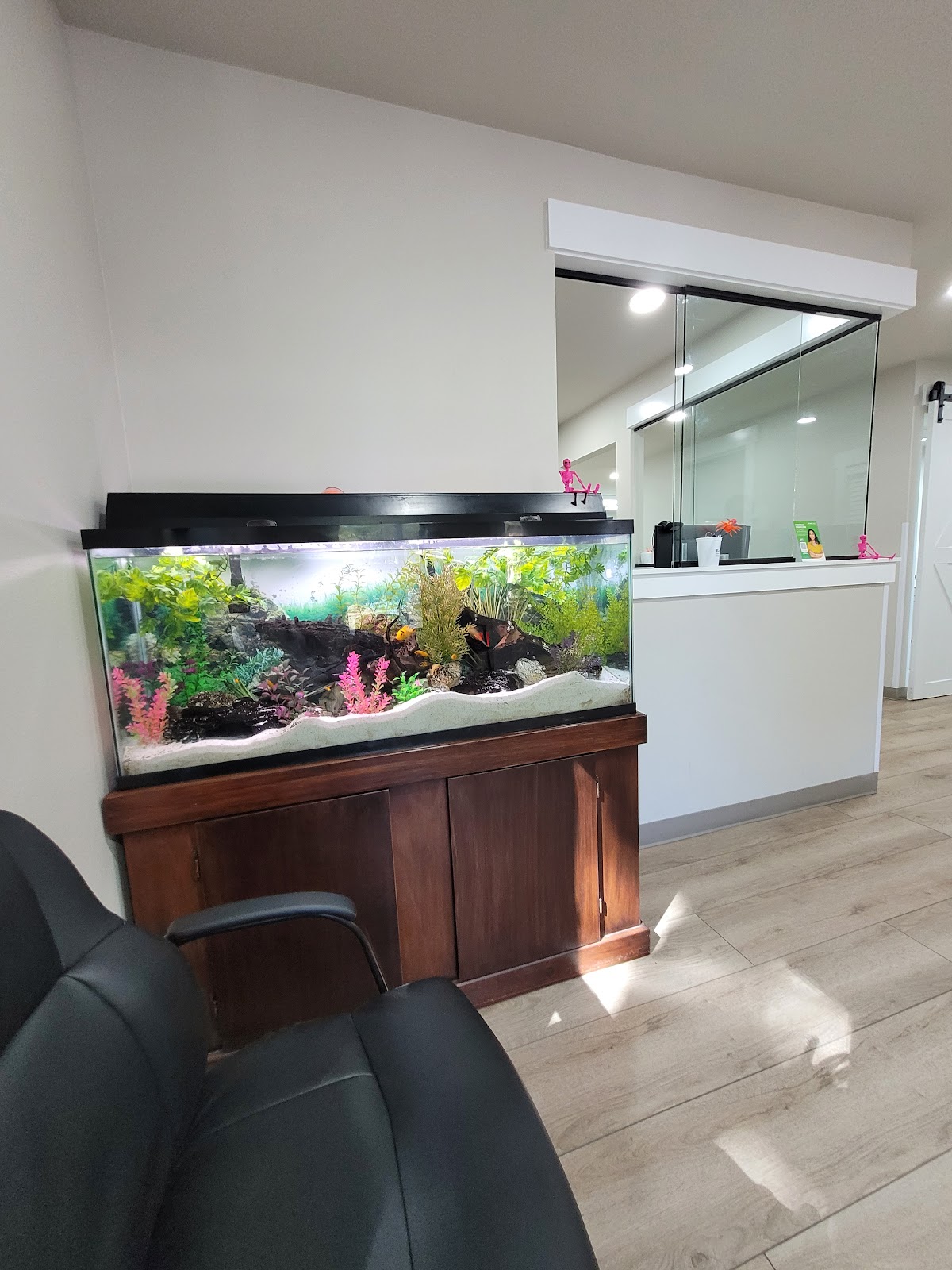 Beller Dental Clinic photo 2