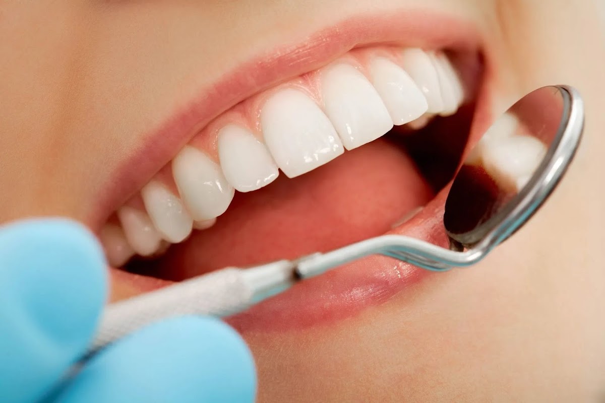 Staffordshire Dental Group P.A. photo 6