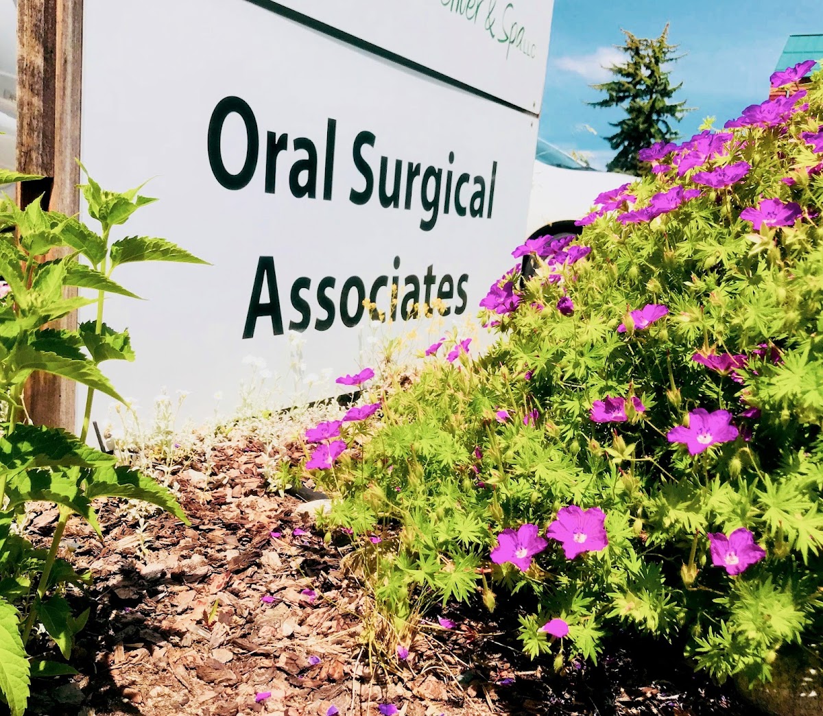 Oral Surgical Associates photo 4