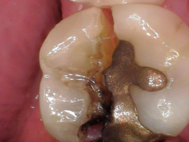 Beck Family Dental photo 5