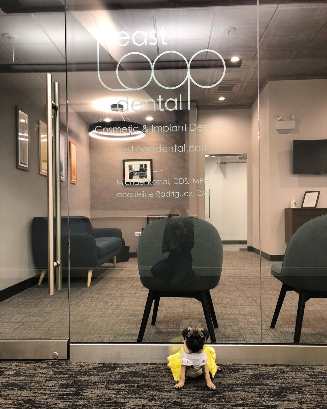 East Loop Dental photo 4