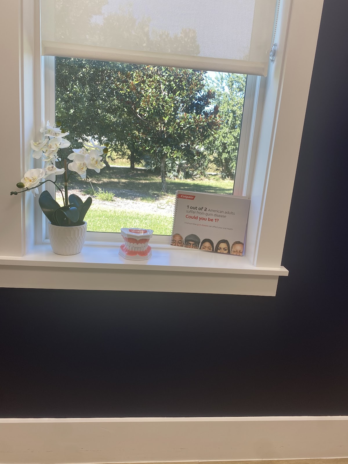 Great Florida Smiles & Orthodontics photo 2
