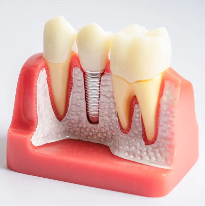 Star Dental Institute photo 4