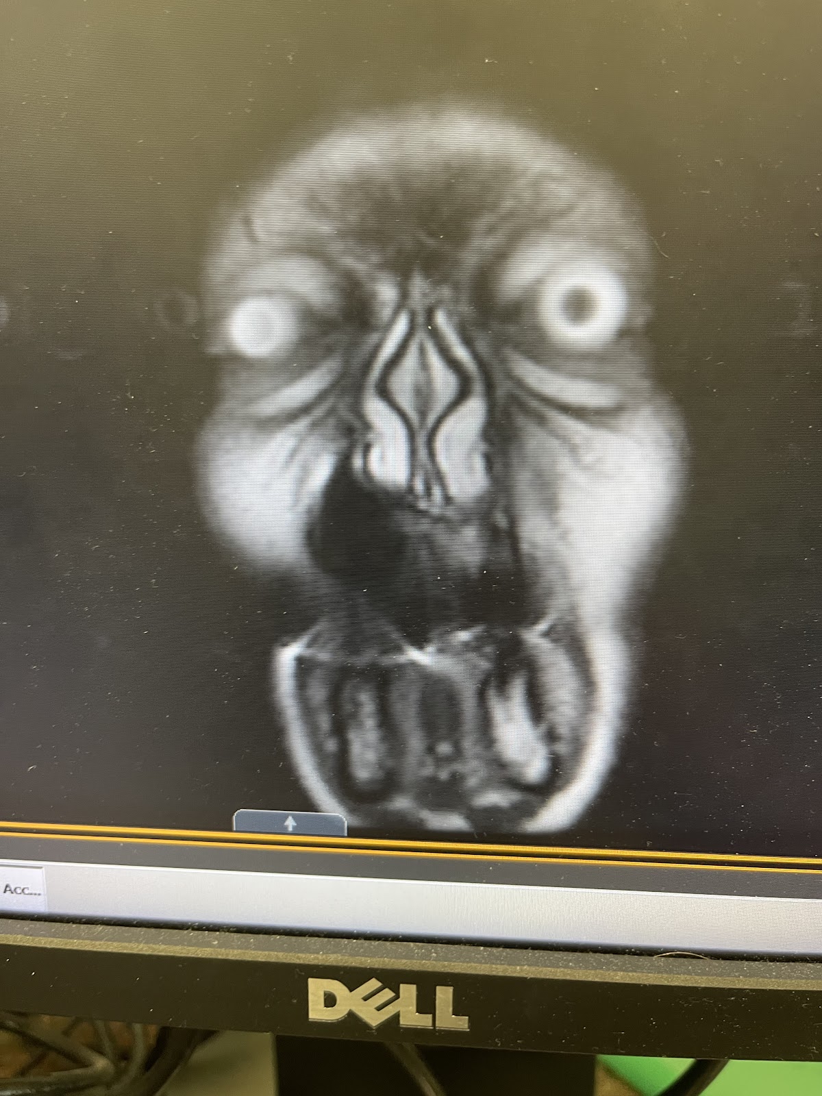 Destin Harbor Dental photo 5