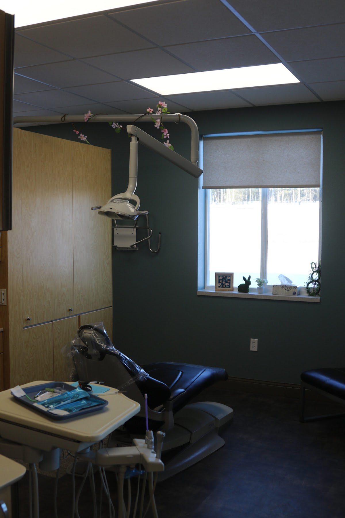 Mann Family Dental photo 6