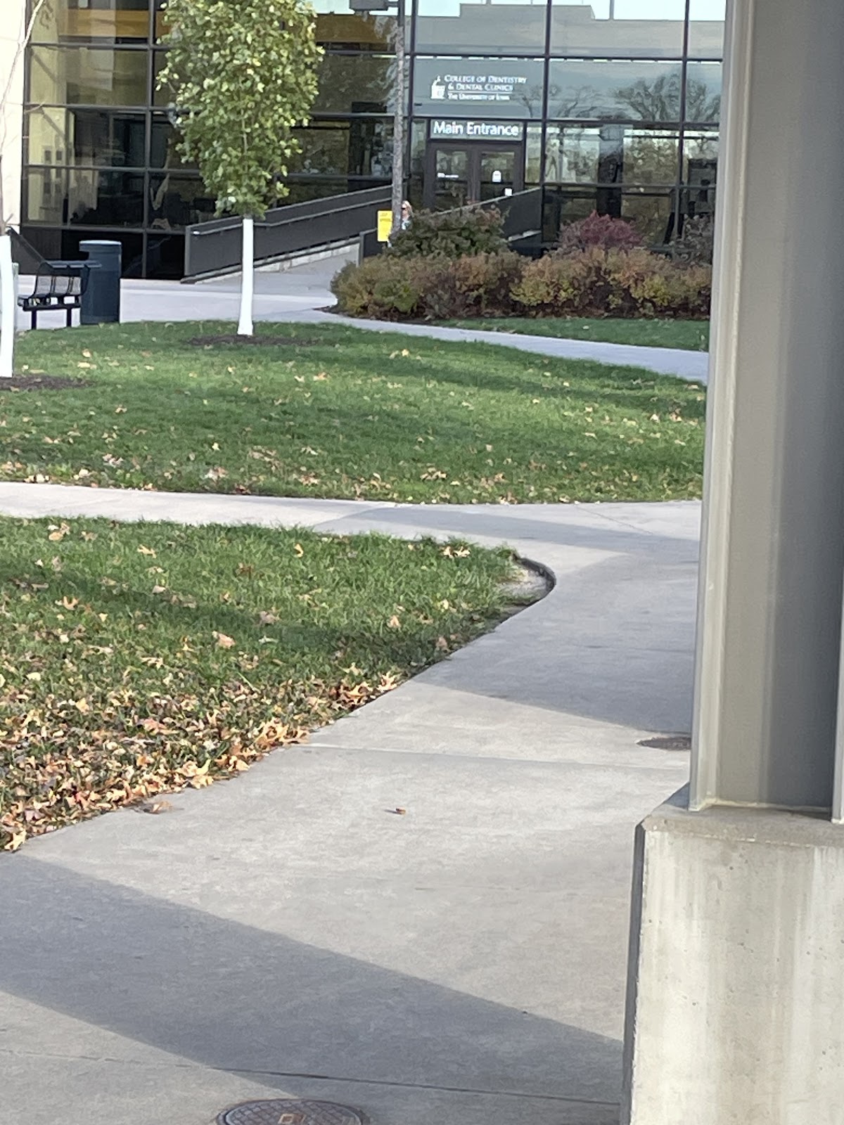 The University of Iowa College of Dentistry and Dental Clinics photo 5