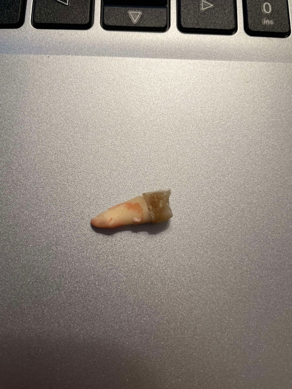 Midwest Dental - La Crosse photo 1