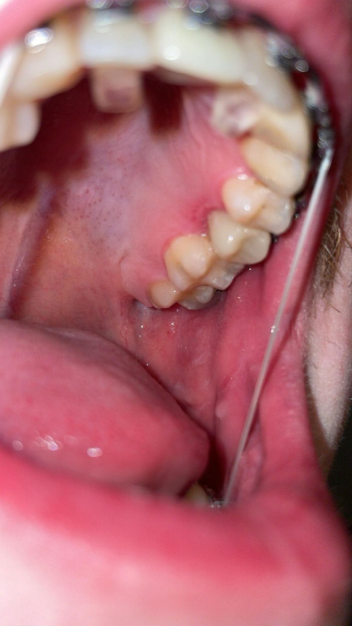 Midwest Dental - La Crosse photo 3