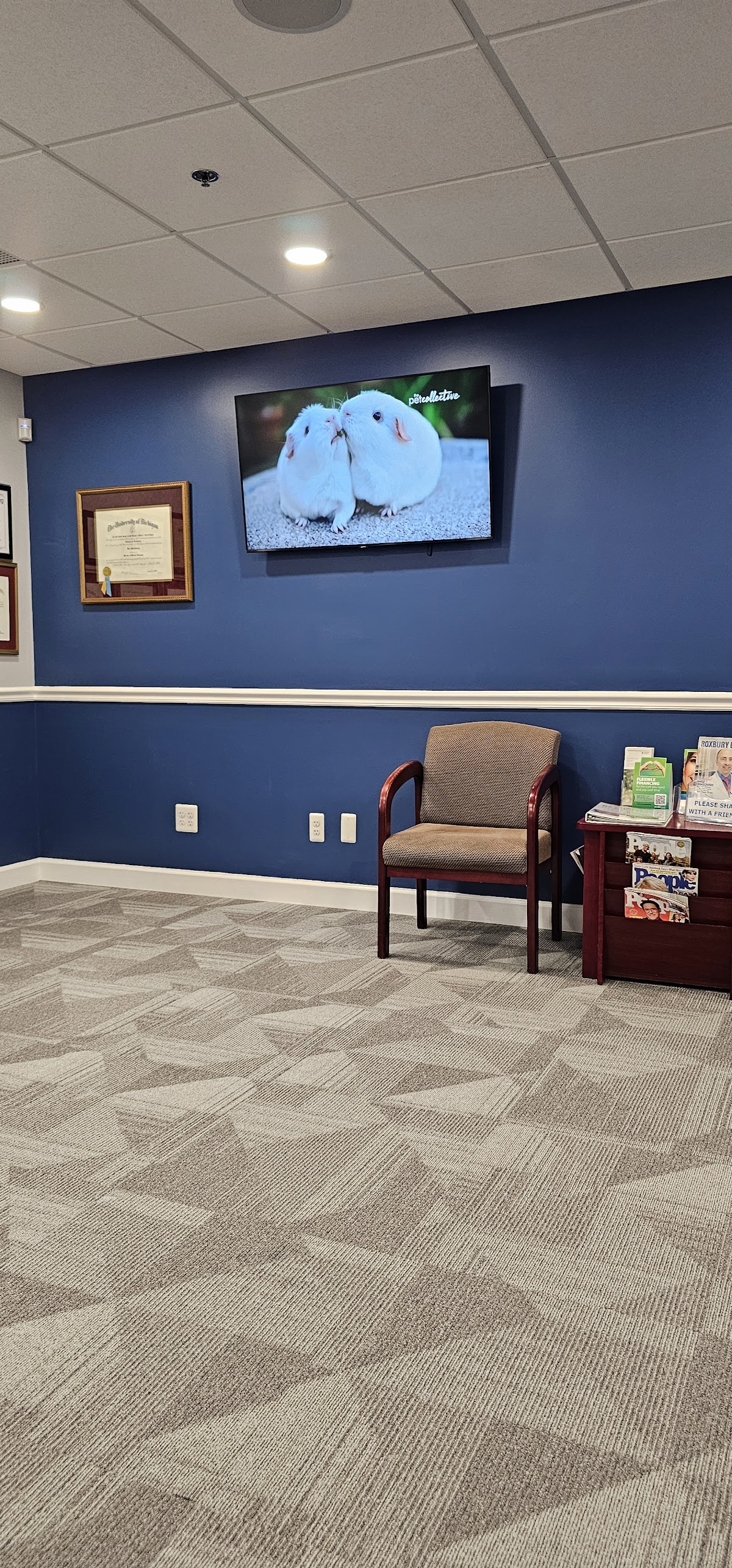 Morris County Dental Associates, LLC photo 5