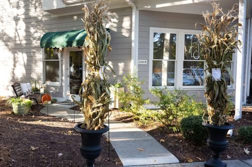 Jelic Center photo 6