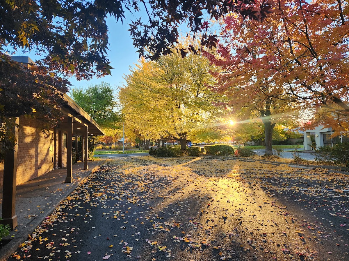 Crater Lake Dental : Medford Dentist photo 5