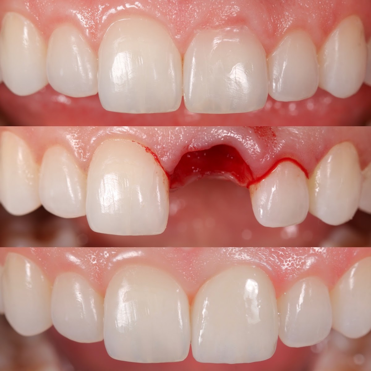 University Associates in Dentistry photo 2
