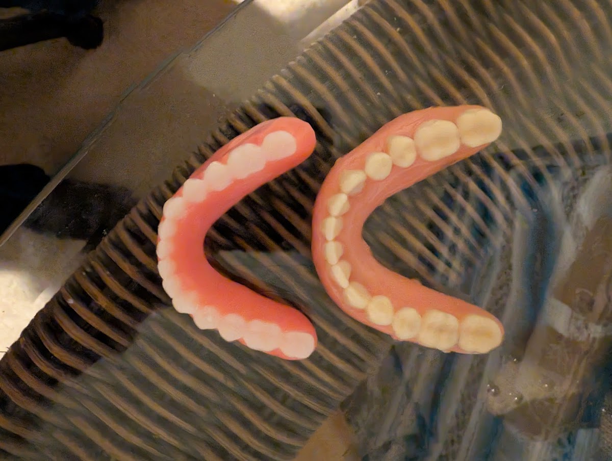 Access Dental, Dentures & Implants photo 5