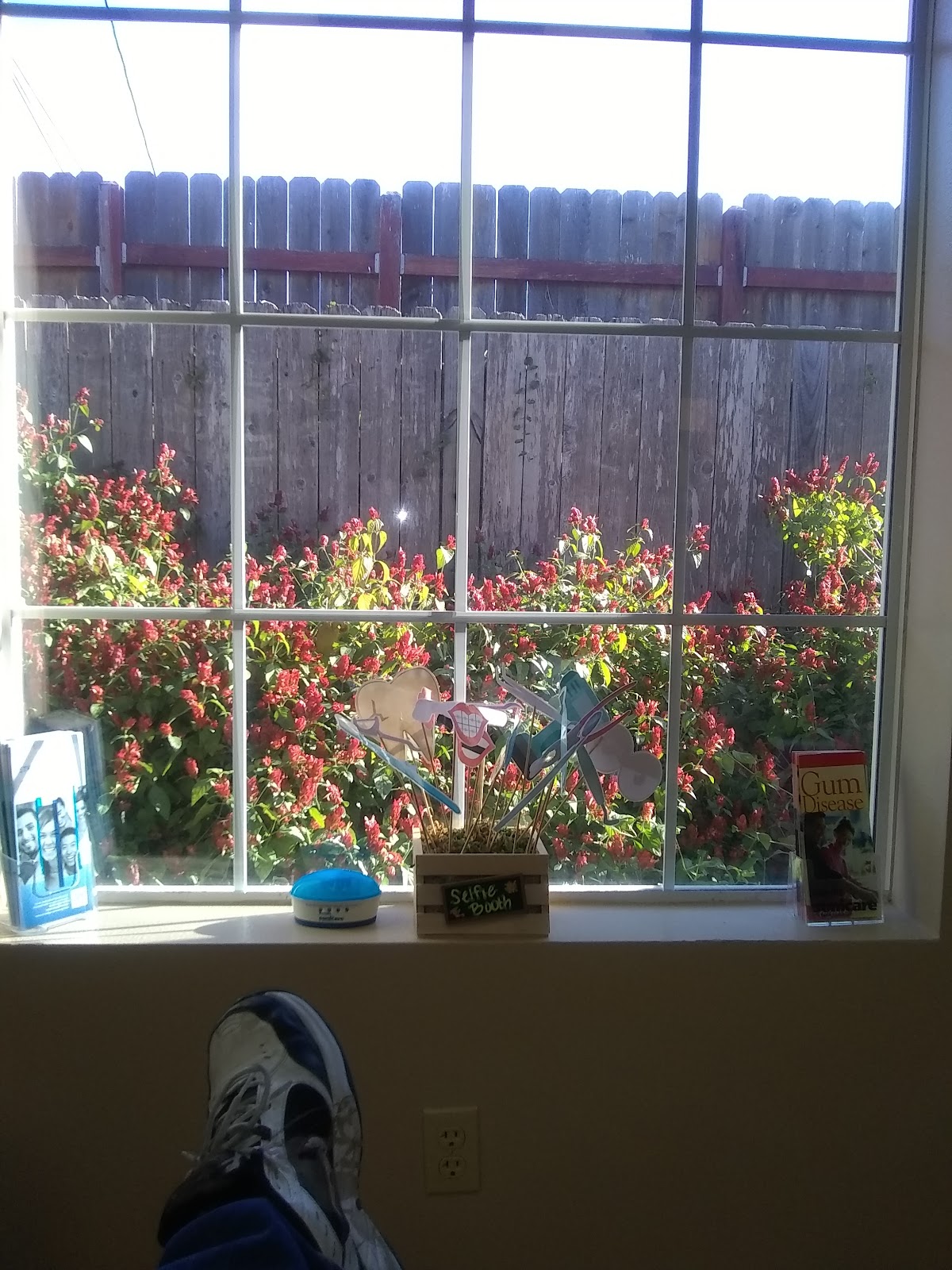 Corpus Christi General & Implant Dentistry photo 1