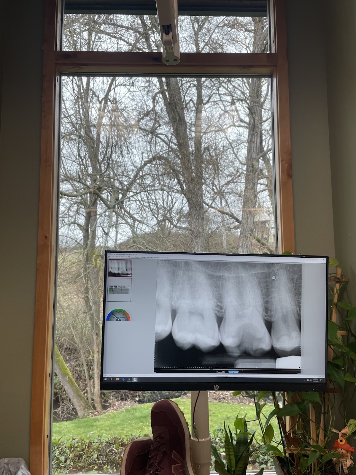 Rogue River Endodontics photo 1