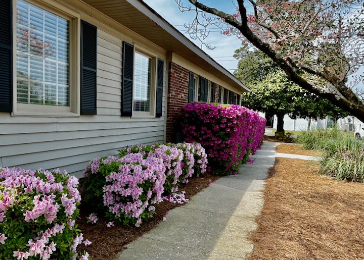 Elizabethtown Family Dentistry photo 2