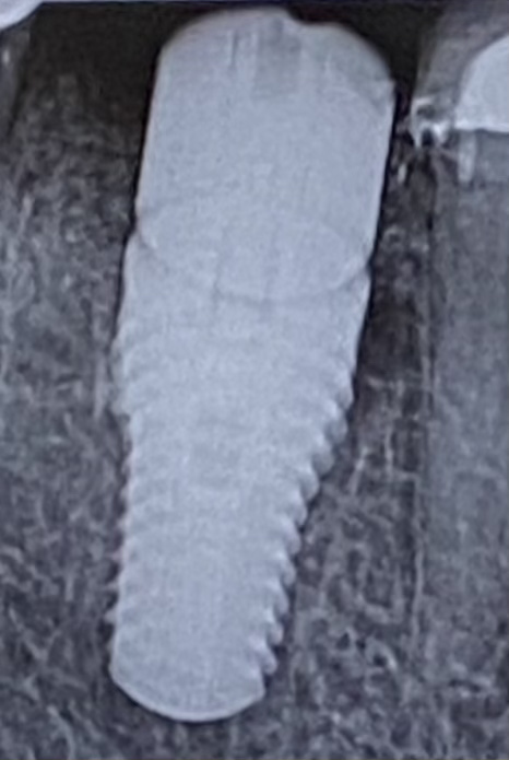 First Dental photo 6