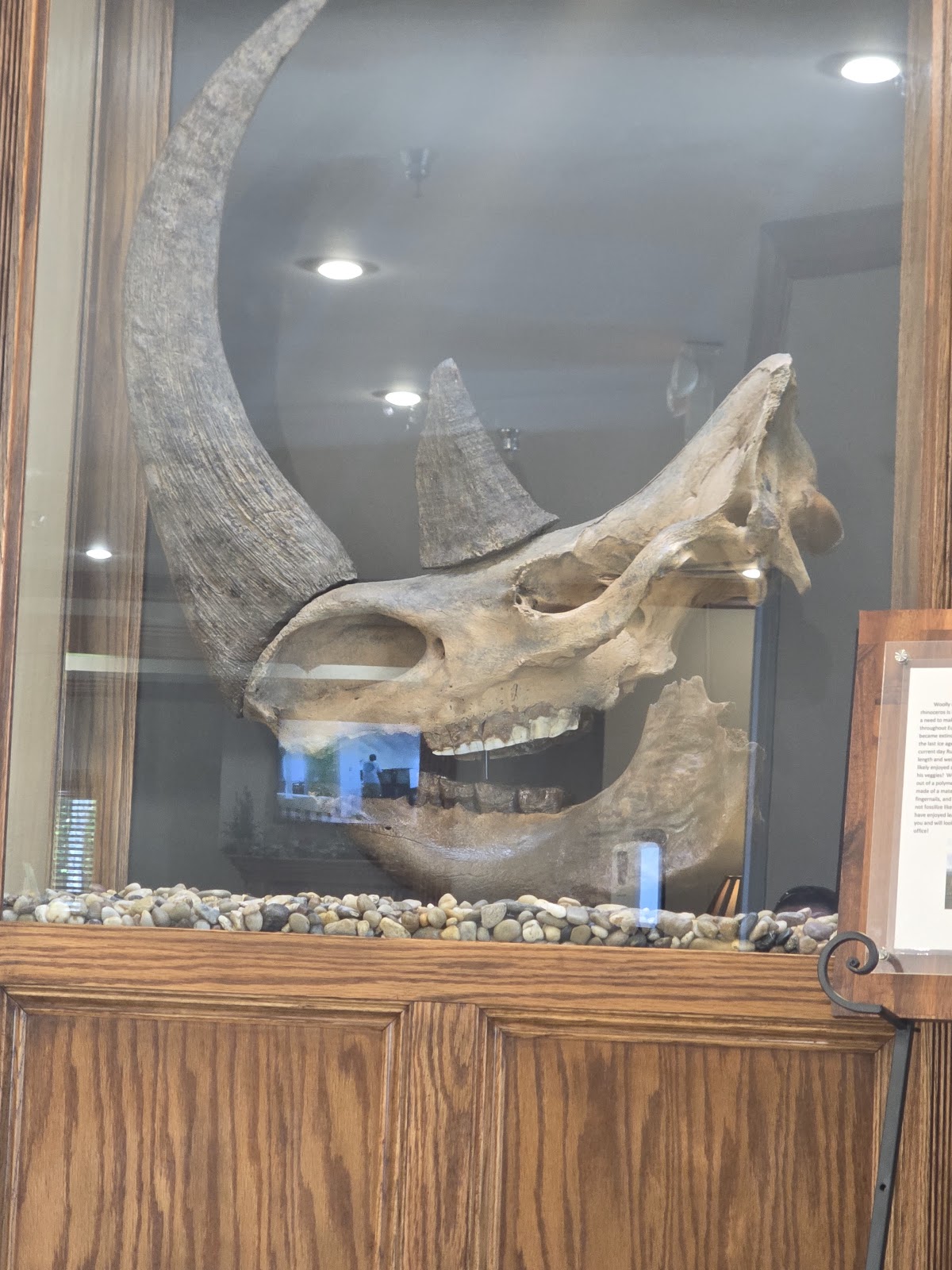 Jackson Dental photo 5