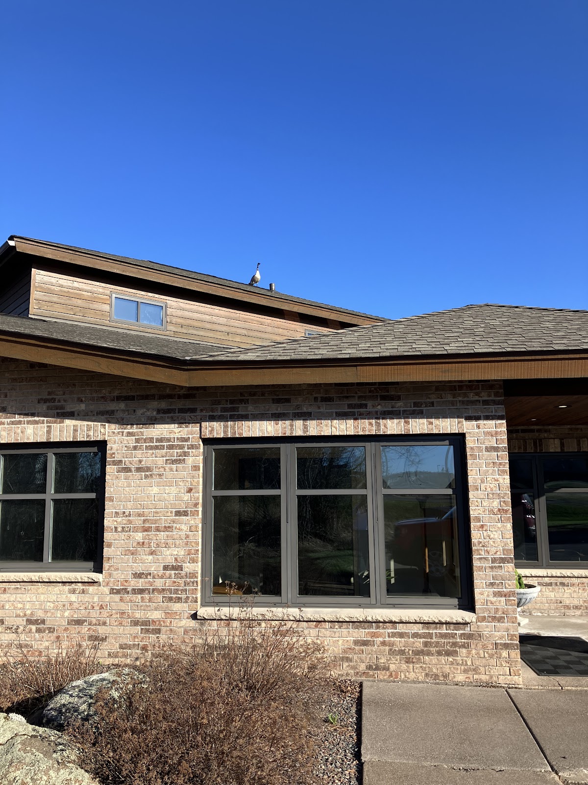 Port City Dental - Miller Hill photo 4