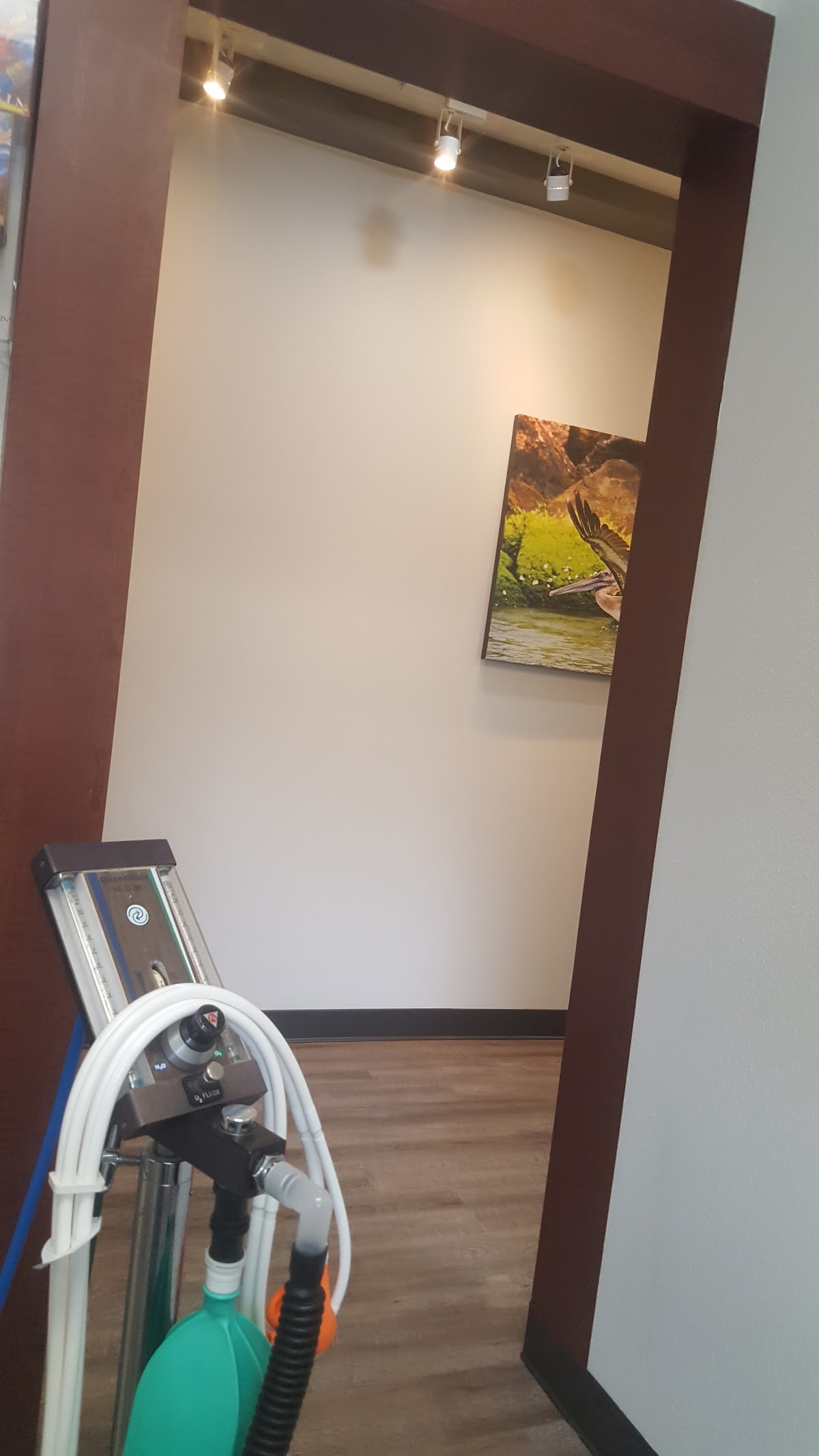 Lake Area Dentistry photo 4