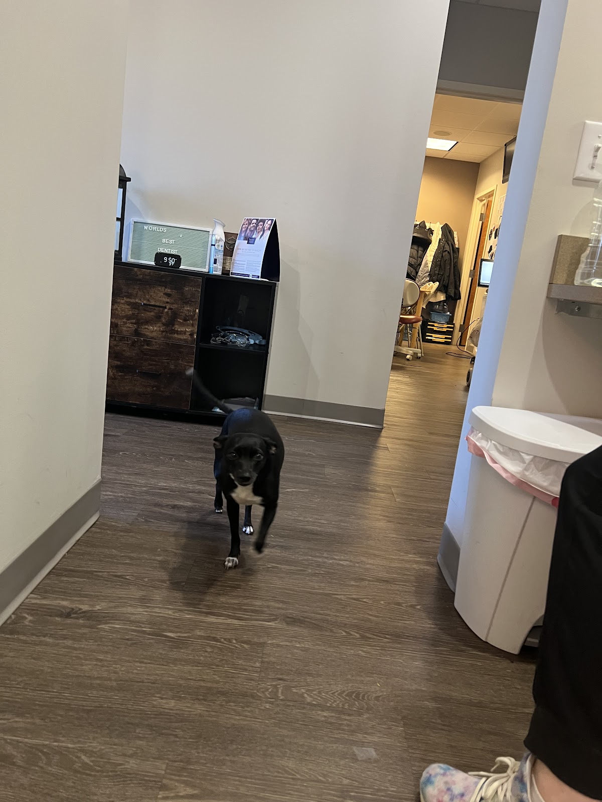 Park Avenue Dental Associates photo 3