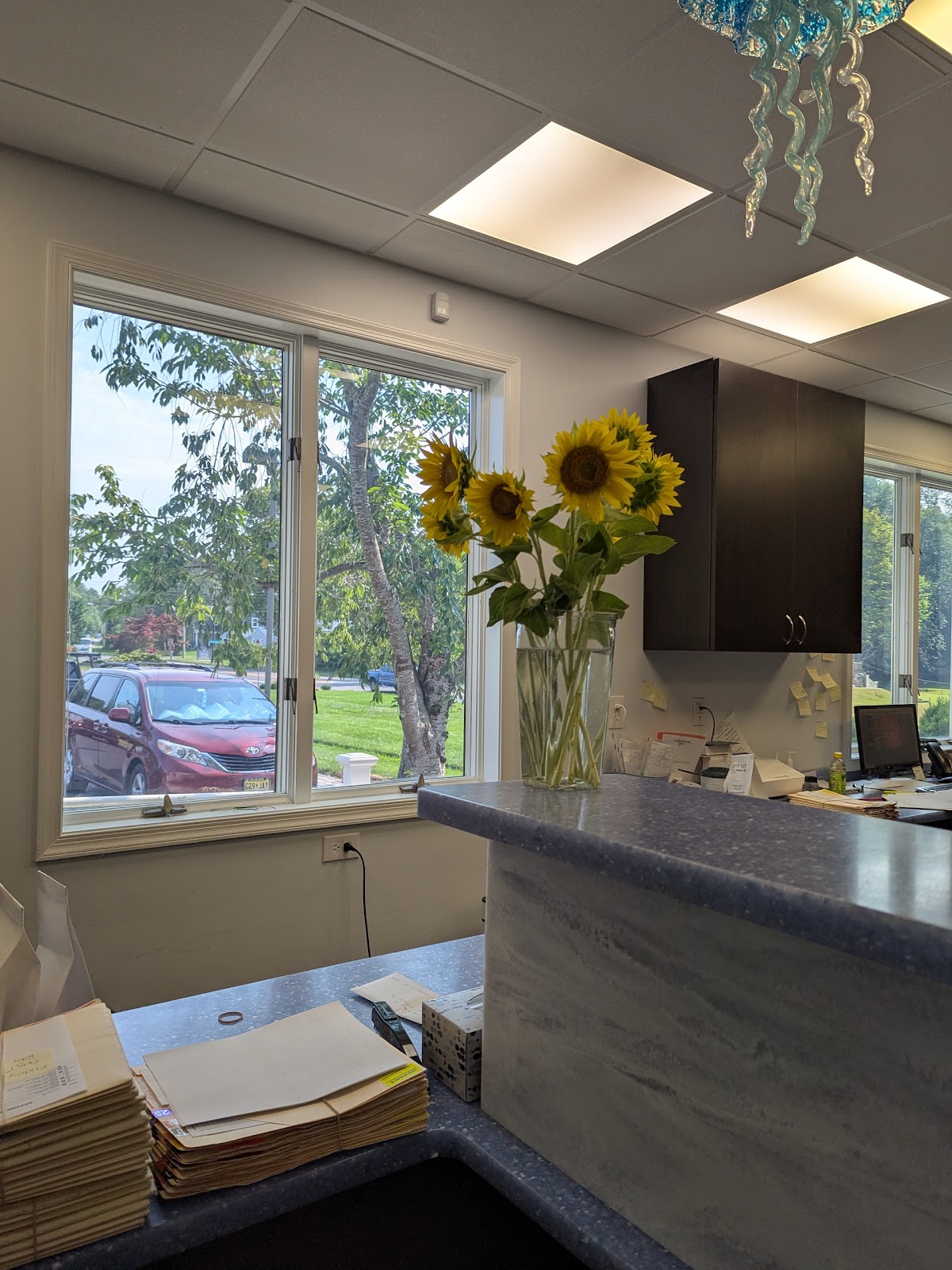 Seaview Dental Arts photo 5