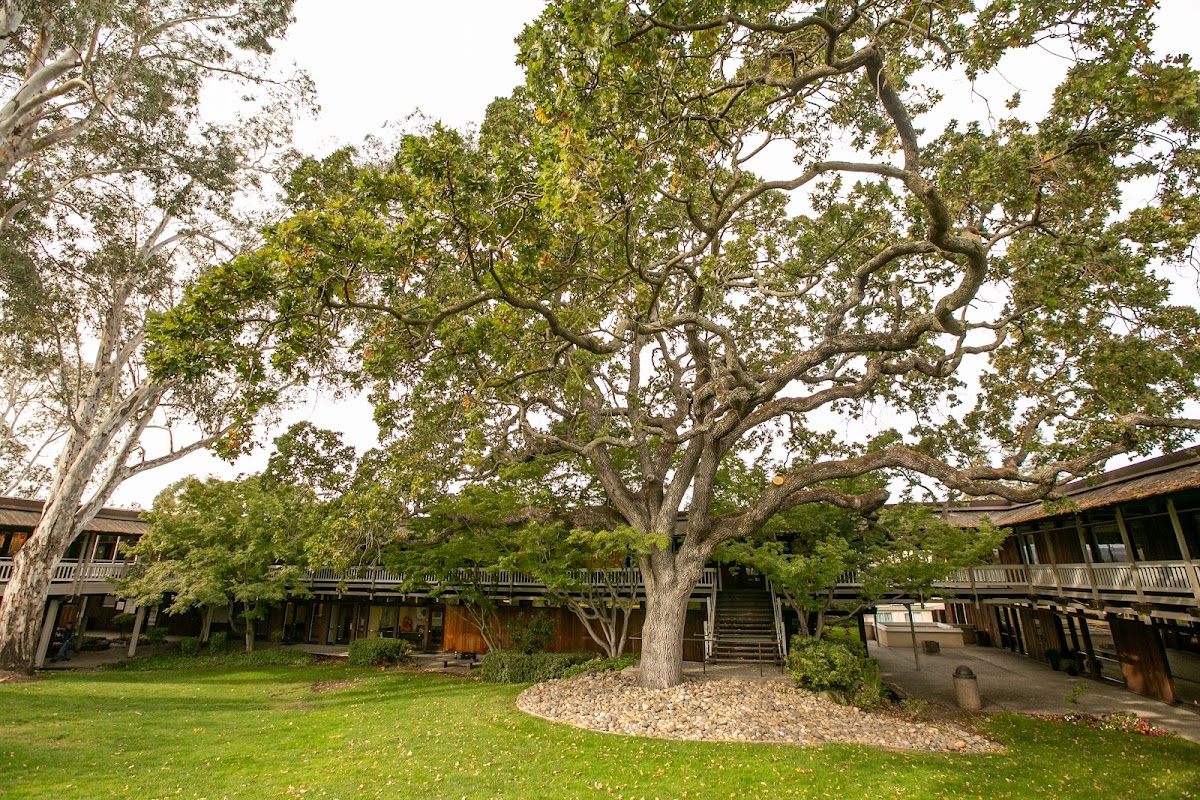 Walnut Creek ~ Danville Oral Surgery photo 5