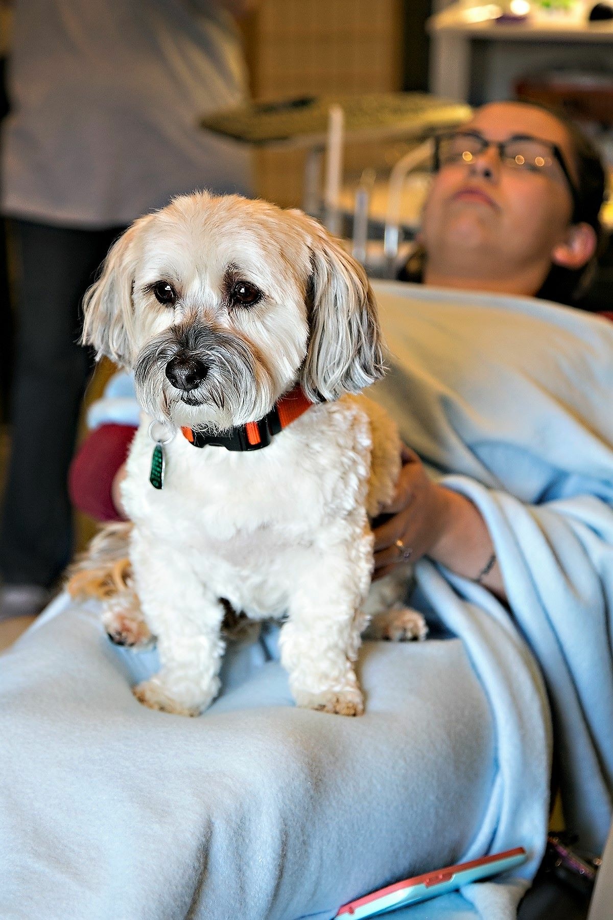 Fredericksburg Smile Center photo 4
