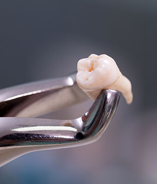 Daniel Dental Studio photo 5