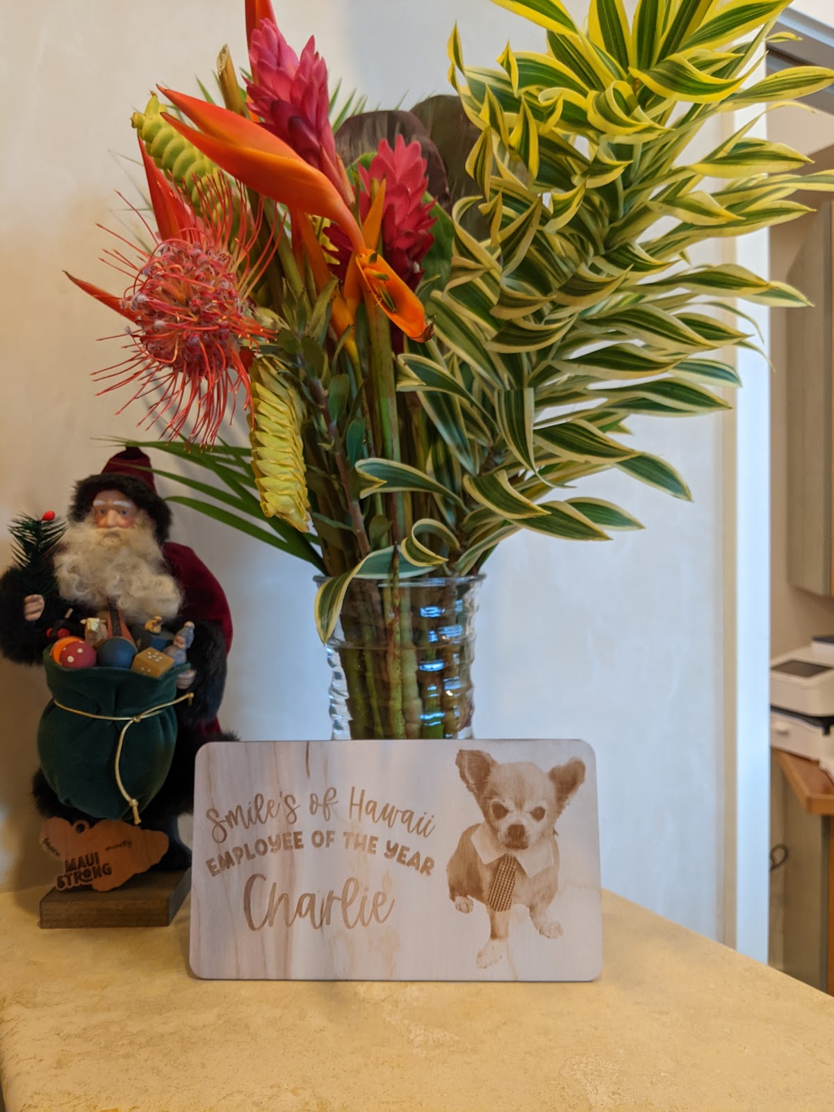 Melanie Vallejos DDS Inc photo 5