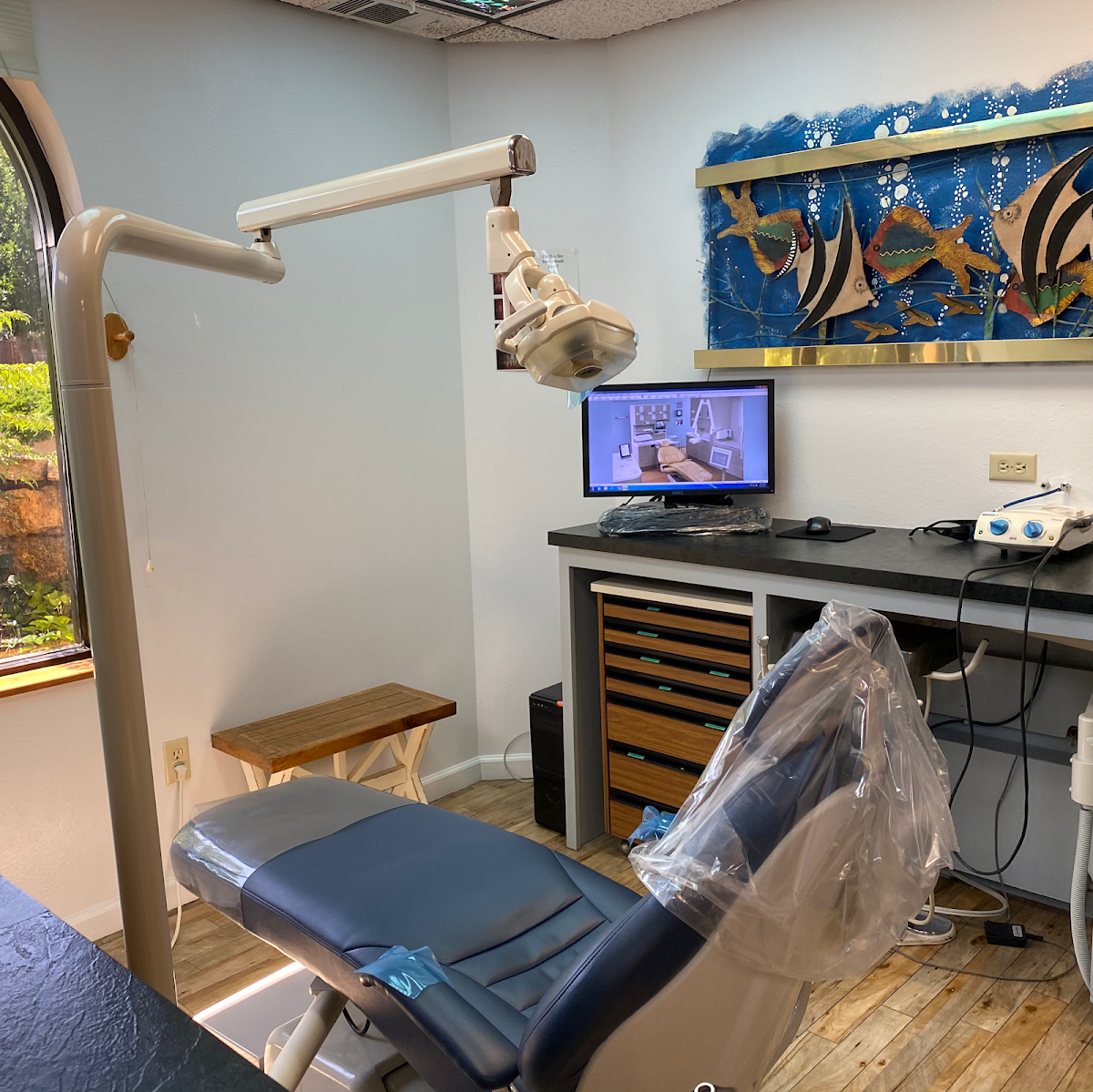 Down to Earth Dental photo 3