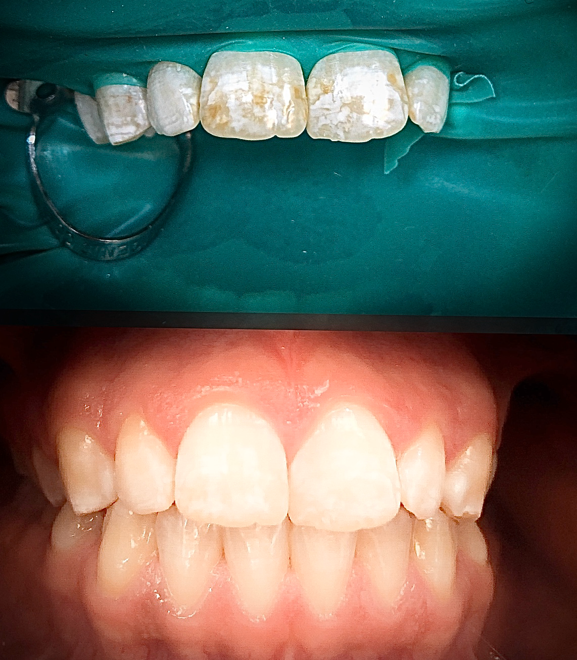 Down to Earth Dental photo 5